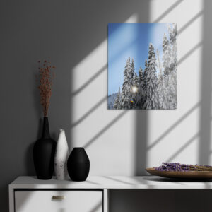 Metal prints 16" X 20"